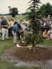 Holding ceremonial spade thumbnail